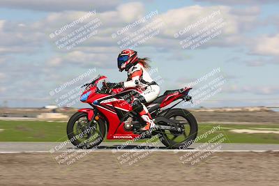 media/Feb-10-2024-TrackDaz (Sat) [[d83b097a69]]/C Group/1240pm (Wheelie Bump)/